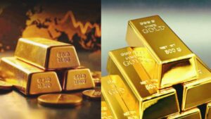 WhatsApp Image 2026-01-30 at 10.47.58