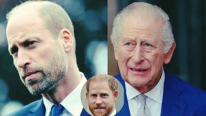 WhatsApp Image 2026-01-31 at 10.11.25