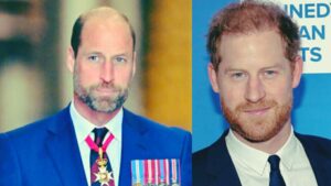 WhatsApp Image 2026-02-01 at 12.05.13 (1)