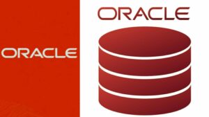 WhatsApp Image 2026-02-02 at 10.12.49