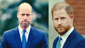 WhatsApp Image 2026-02-18 at 10.08.11 (1)