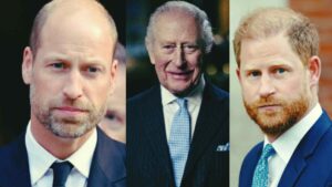 WhatsApp Image 2026-02-19 at 11.30.45 (1)