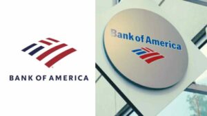 WhatsApp Image 2026-02-20 at 11.05.07