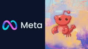 WhatsApp Image 2026-03-11 at 16.18.58