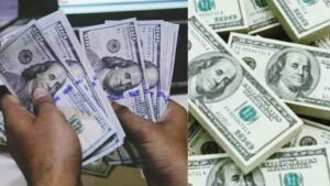 WhatsApp Image 2026-03-20 at 08.48.15