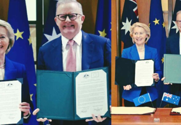 WhatsApp Image 2026-03-24 at 09.56.07