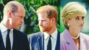 WhatsApp Image 2026-03-24 at 09.56.08 (1)