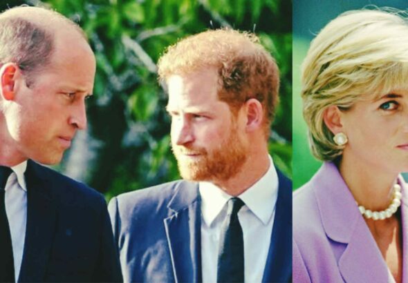 WhatsApp Image 2026-03-24 at 09.56.08 (1)