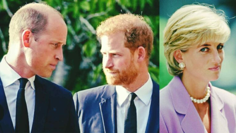 WhatsApp Image 2026-03-24 at 09.56.08 (1)