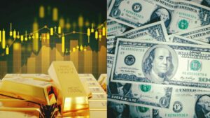 WhatsApp Image 2026-03-30 at 11.04.16