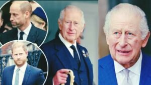 WhatsApp Image 2026-04-07 at 12.36.00 (1)