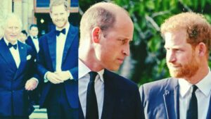 WhatsApp Image 2026-04-09 at 10.15.15 (1)