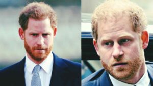 WhatsApp Image 2026-04-11 at 13.50.42 (2)